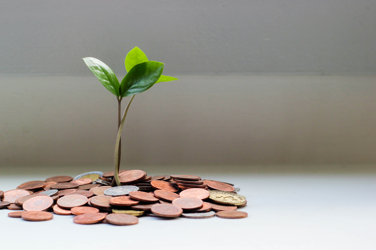 Investment Strategies